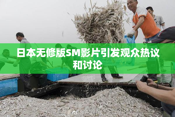日本无修版SM影片引发观众热议和讨论
