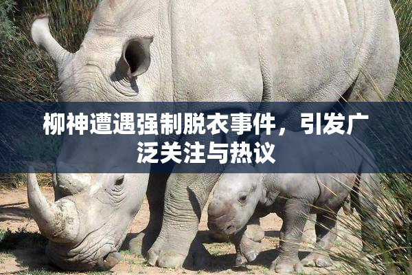 柳神遭遇强制脱衣事件，引发广泛关注与热议