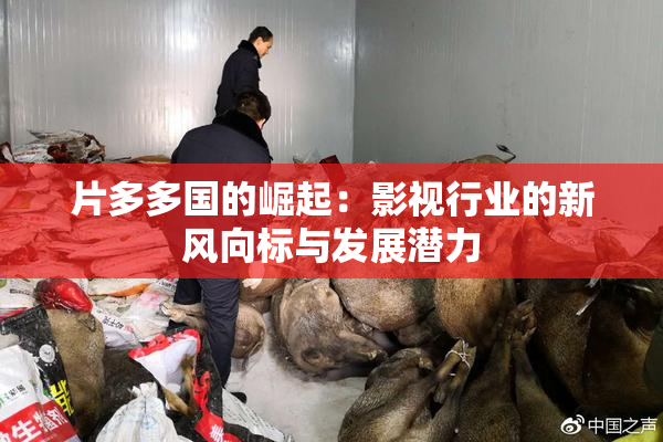 片多多国的崛起：影视行业的新风向标与发展潜力