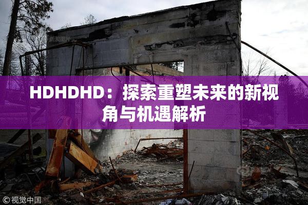HDHDHD：探索重塑未来的新视角与机遇解析