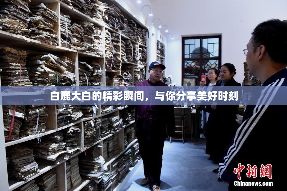 白鹿大白的精彩瞬间，与你分享美好时刻