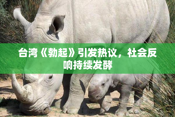 台湾《勃起》引发热议，社会反响持续发酵