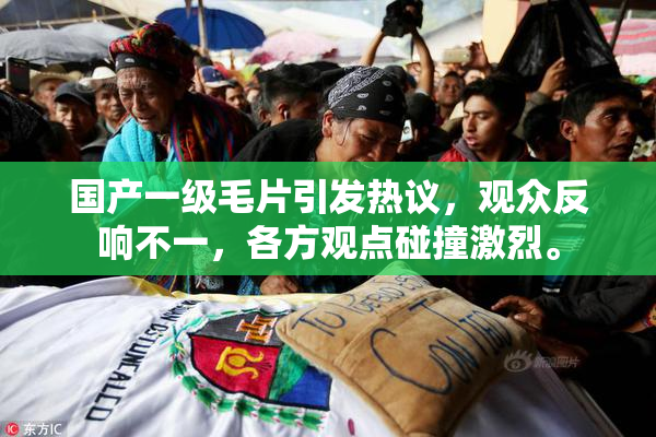 国产一级毛片引发热议，观众反响不一，各方观点碰撞激烈。
