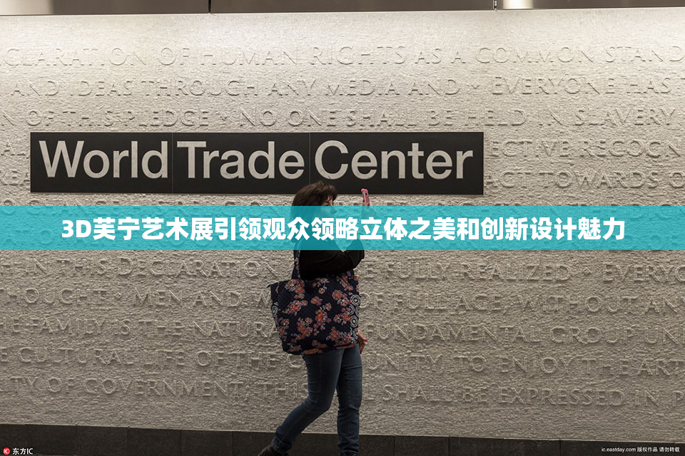 3D芙宁艺术展引领观众领略立体之美和创新设计魅力