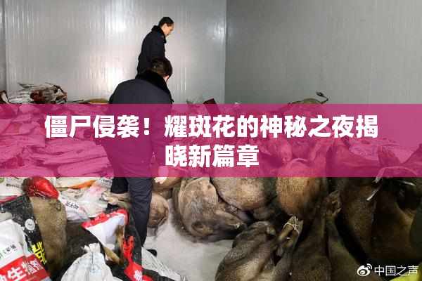 僵尸侵袭！耀斑花的神秘之夜揭晓新篇章