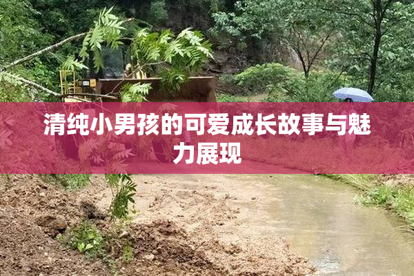 清纯小男孩的可爱成长故事与魅力展现