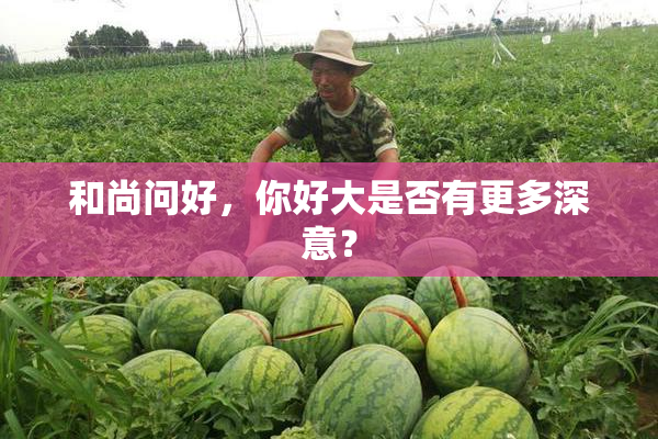和尚问好，你好大是否有更多深意？