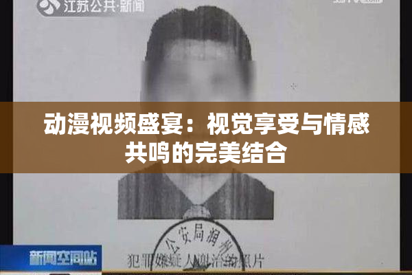 动漫视频盛宴：视觉享受与情感共鸣的完美结合