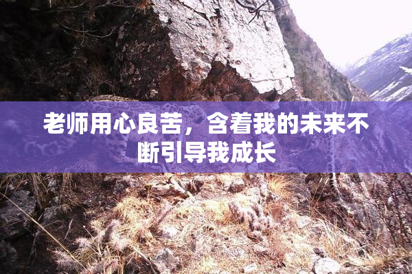 老师用心良苦，含着我的未来不断引导我成长