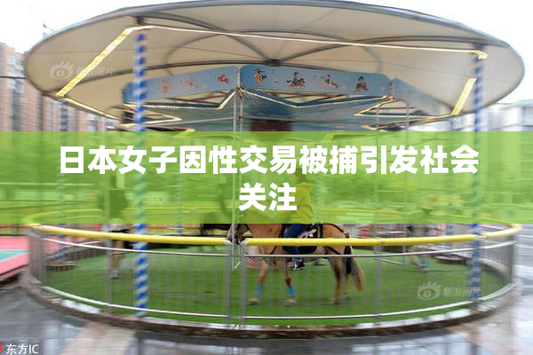 日本女子因性交易被捕引发社会关注