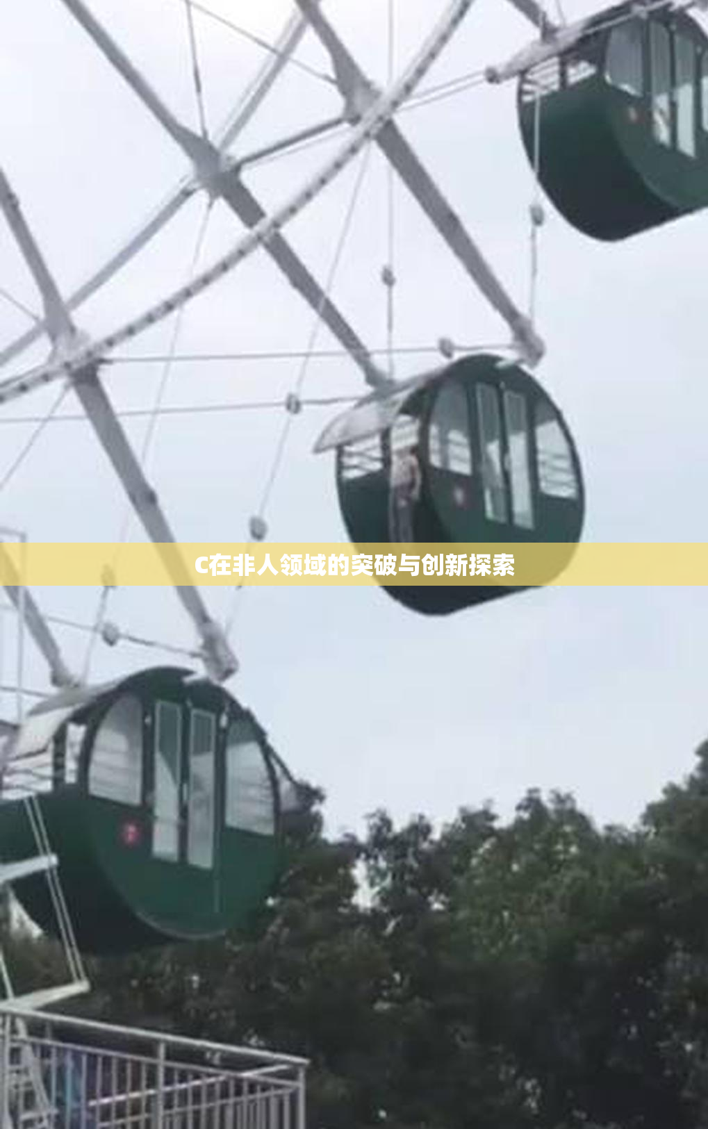 C在非人领域的突破与创新探索
