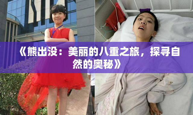 《熊出没：美丽的八重之旅，探寻自然的奥秘》