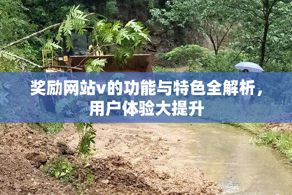 奖励网站v的功能与特色全解析，用户体验大提升