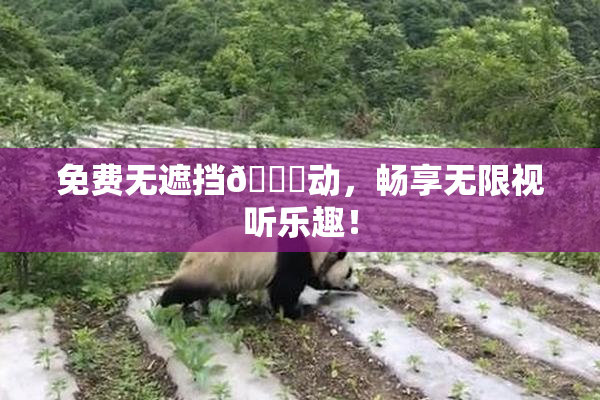 免费无遮挡🔞动，畅享无限视听乐趣！