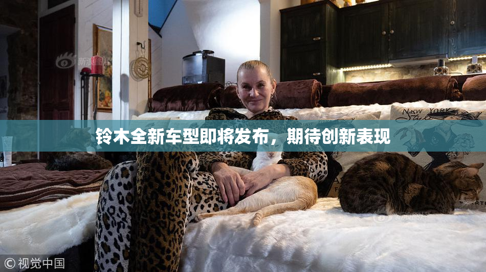 铃木全新车型即将发布，期待创新表现
