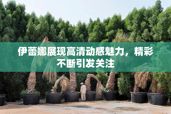 伊蕾娜展现高清动感魅力，精彩不断引发关注