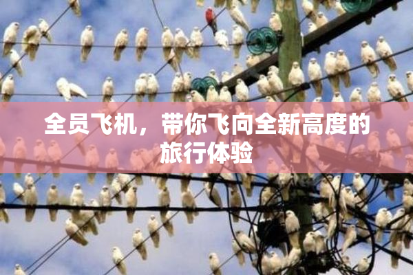 全员飞机，带你飞向全新高度的旅行体验
