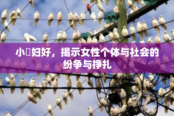 小婬妇好，揭示女性个体与社会的纷争与挣扎