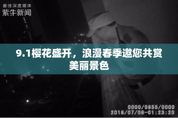 9.1樱花盛开，浪漫春季邀您共赏美丽景色