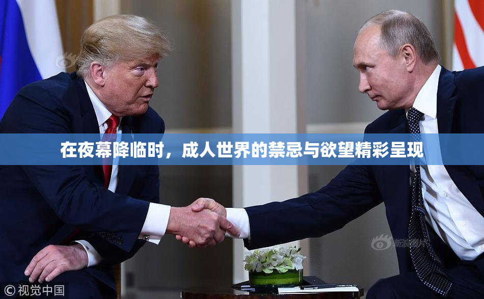 在夜幕降临时，成人世界的禁忌与欲望精彩呈现