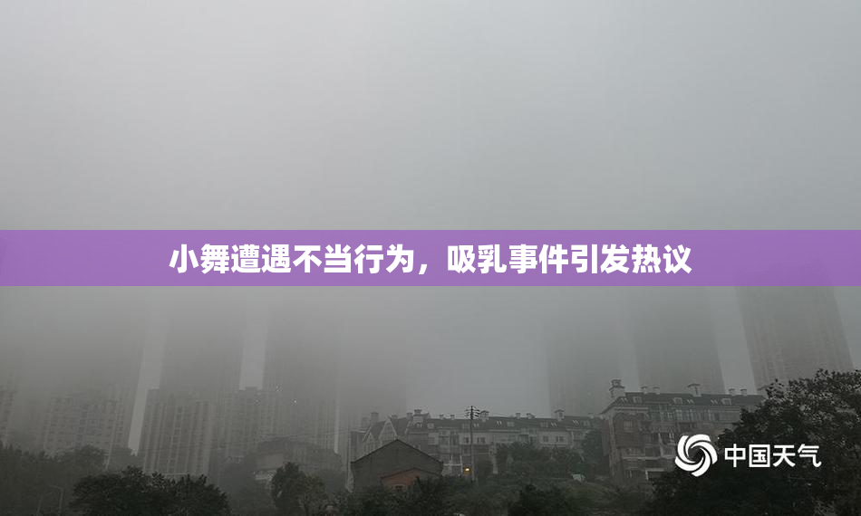小舞遭遇不当行为，吸乳事件引发热议