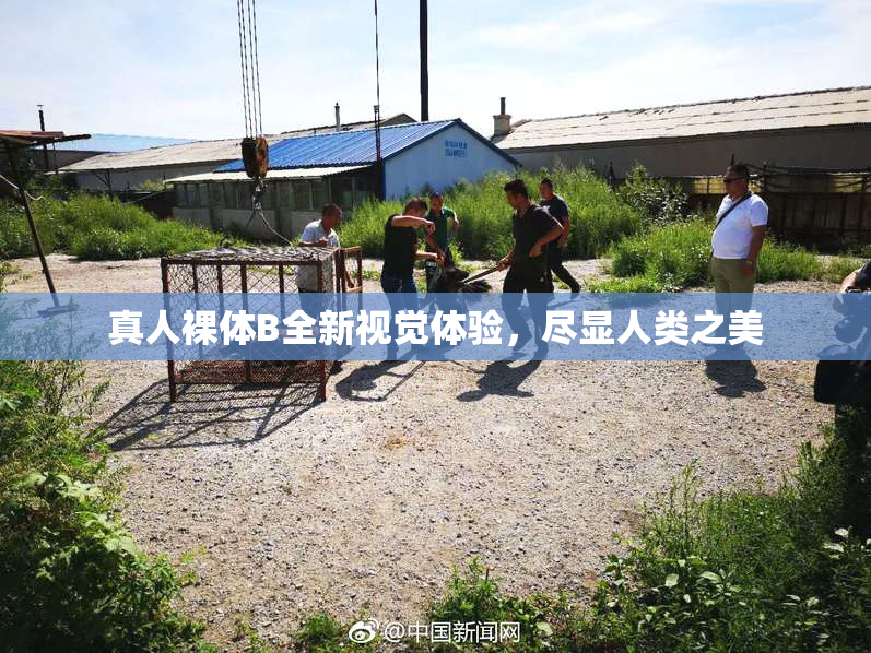 真人裸体B全新视觉体验，尽显人类之美