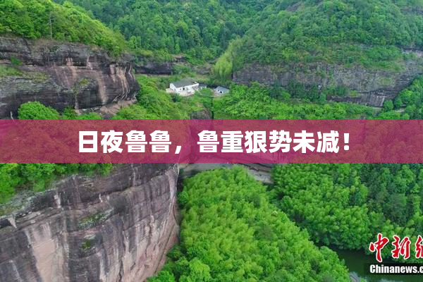 日夜鲁鲁，鲁重狠势未减！