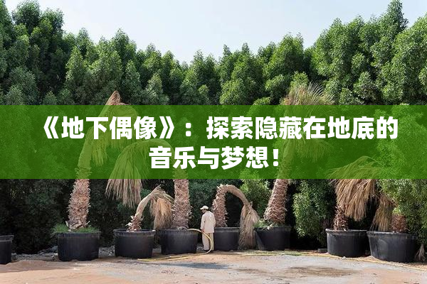 《地下偶像》：探索隐藏在地底的音乐与梦想！