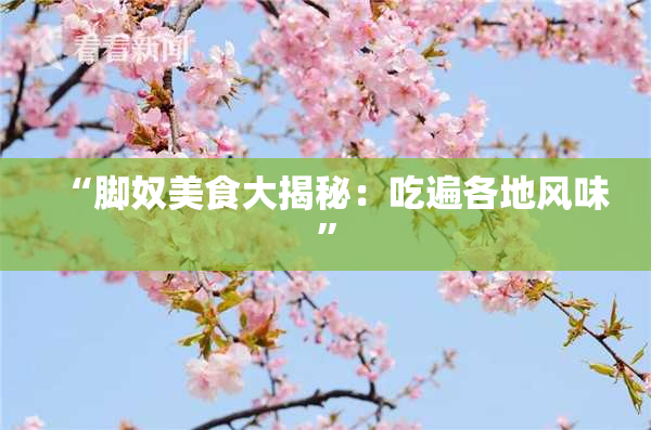 “脚奴美食大揭秘：吃遍各地风味”