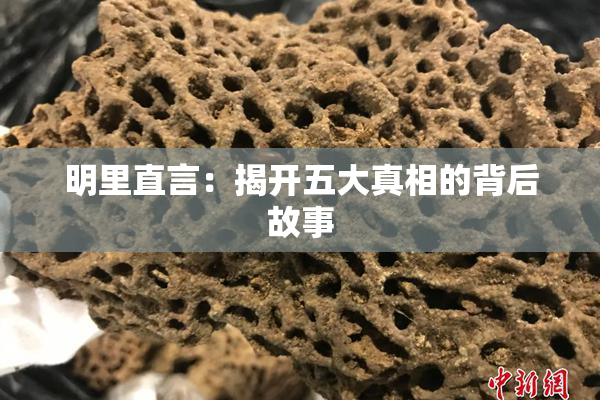 明里直言：揭开五大真相的背后故事