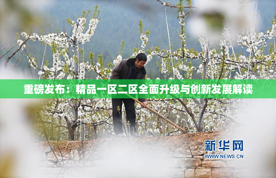 重磅发布：精品一区二区全面升级与创新发展解读