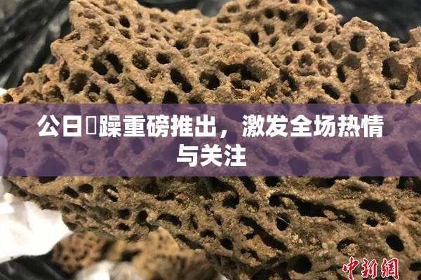 公日鬧躁重磅推出，激发全场热情与关注