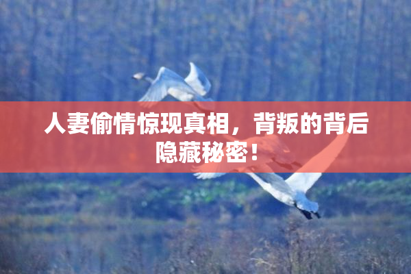 人妻偷情惊现真相，背叛的背后隐藏秘密！