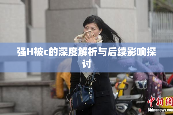 强H被c的深度解析与后续影响探讨