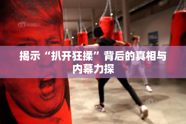 揭示“扒开狂揉”背后的真相与内幕力探