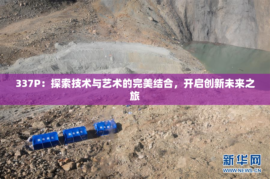 337P：探索技术与艺术的完美结合，开启创新未来之旅