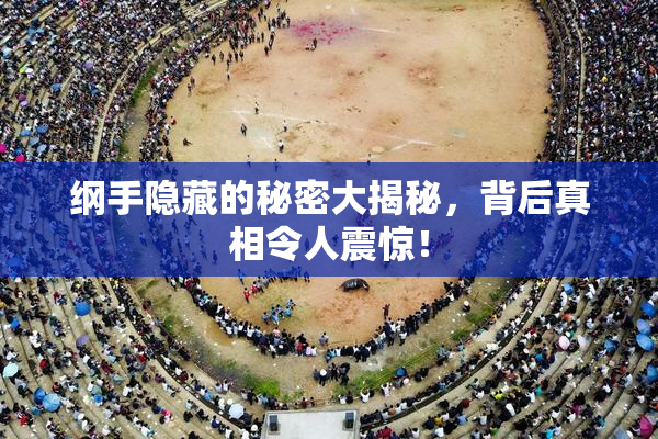 纲手隐藏的秘密大揭秘，背后真相令人震惊！