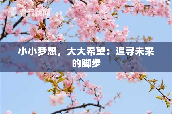 小小梦想，大大希望：追寻未来的脚步