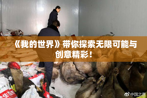 《我的世界》带你探索无限可能与创意精彩！