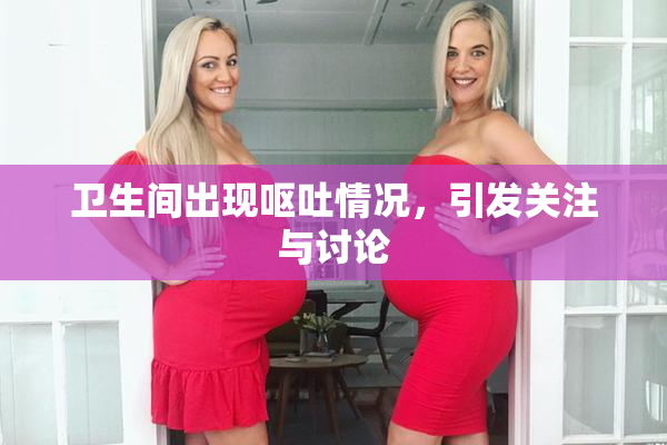 卫生间出现呕吐情况，引发关注与讨论