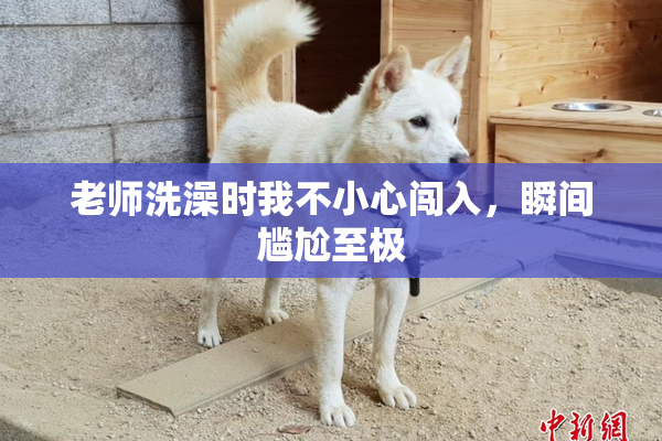 老师洗澡时我不小心闯入，瞬间尴尬至极