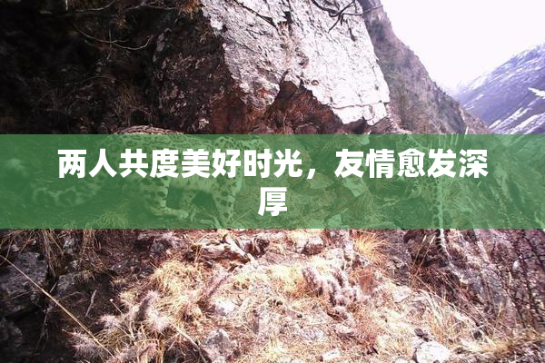 两人共度美好时光，友情愈发深厚