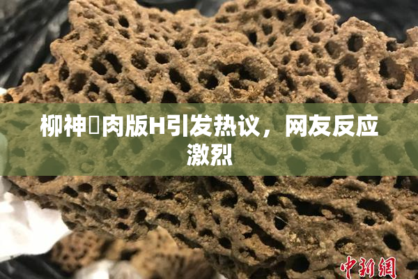 柳神婬肉版H引发热议，网友反应激烈