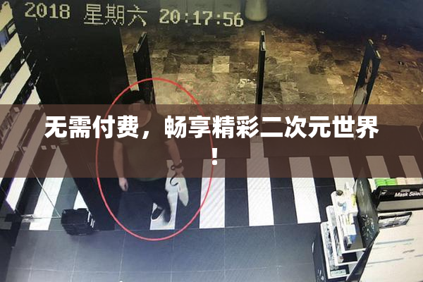 无需付费，畅享精彩二次元世界！
