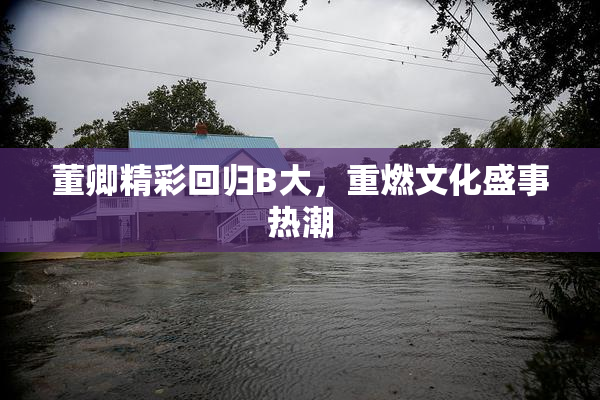 董卿精彩回归B大，重燃文化盛事热潮