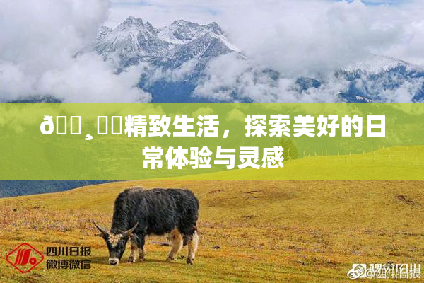 🌸‌✿精致生活，探索美好的日常体验与灵感