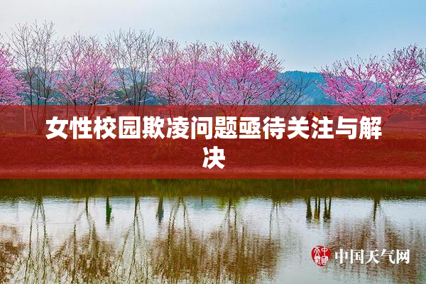 女性校园欺凌问题亟待关注与解决