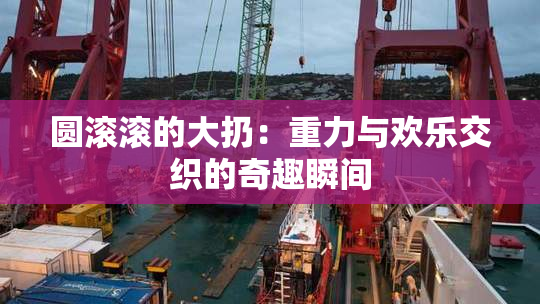 圆滚滚的大扔：重力与欢乐交织的奇趣瞬间
