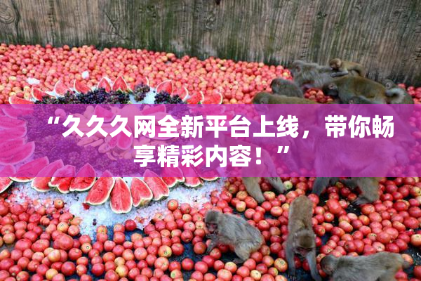 “久久久网全新平台上线，带你畅享精彩内容！”