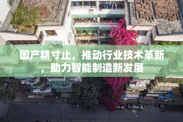 国产精寸止，推动行业技术革新，助力智能制造新发展